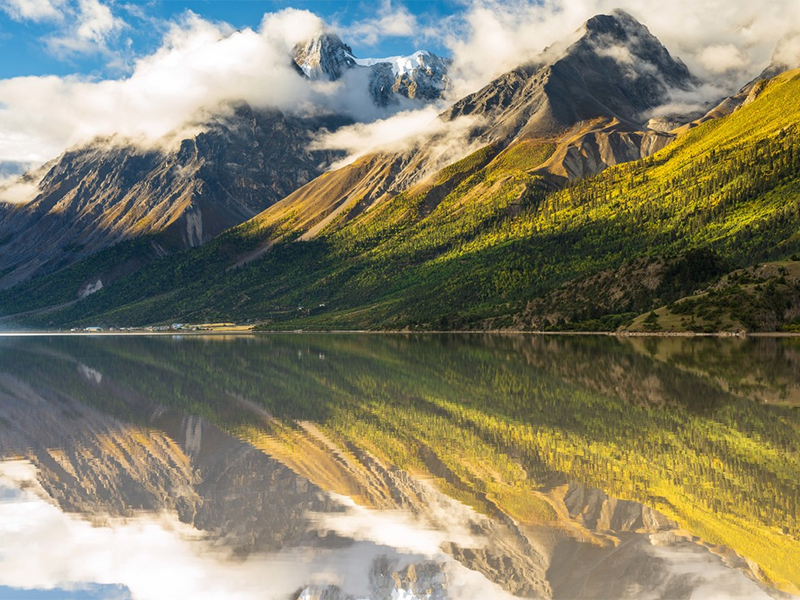 生物毒性檢測(cè)儀價(jià)格 生物毒性檢測(cè)儀價(jià)格