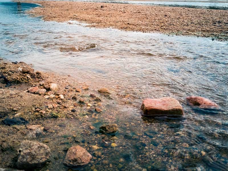 畜牧公司繞過(guò)水質(zhì)監(jiān)測(cè)設(shè)備排放污水被罰