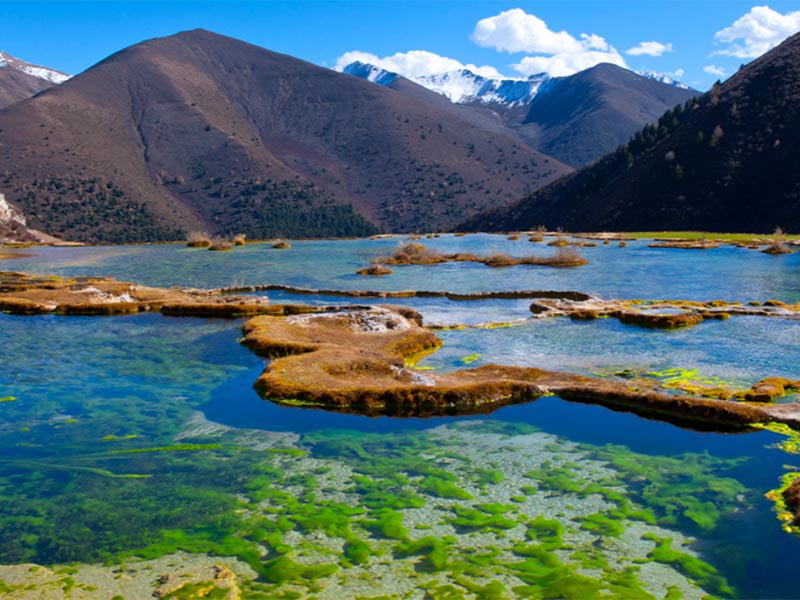 《鹽堿地水產(chǎn)養(yǎng)殖用水水質(zhì)》正式實(shí)施