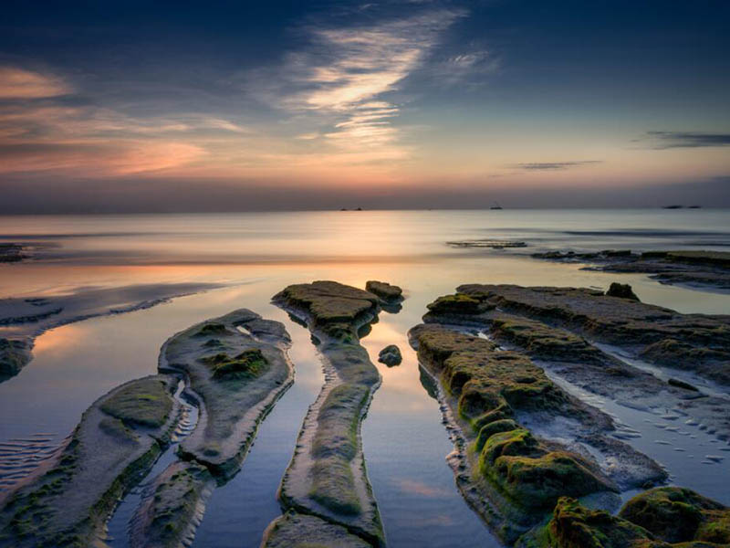 氨氮超標(biāo)的危害有哪些