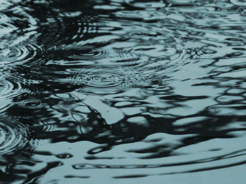 水質(zhì)檢測(cè)中常見金屬元素及來源（金屬元素的毒性機(jī)制）